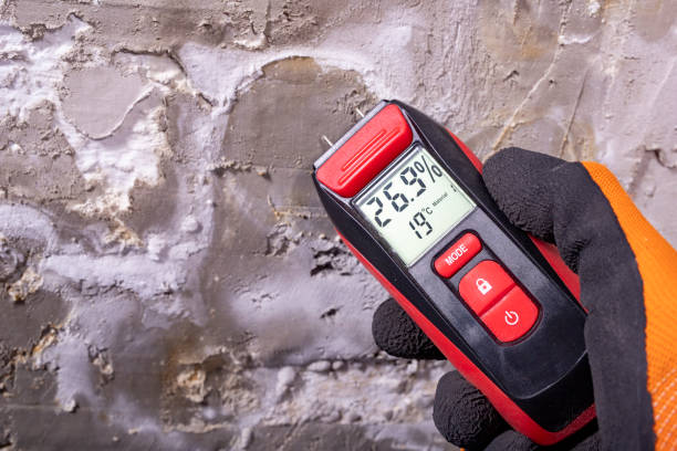 Attic Mold Removal in Johnson City, TN